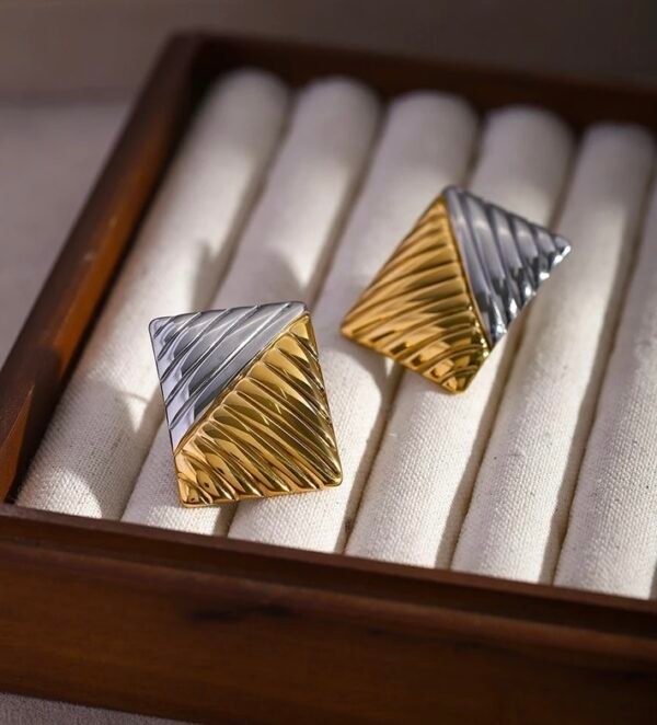 IMG_4021 Amaka Two-Toned Statement Earrings CGE04