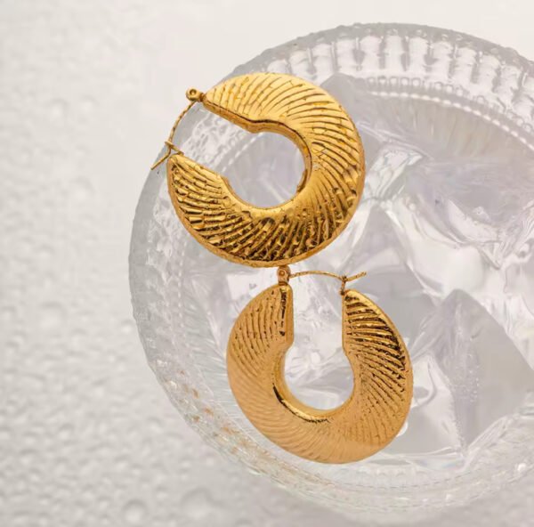 Tina Limited Release Vintage Hoop Earrings CGE02