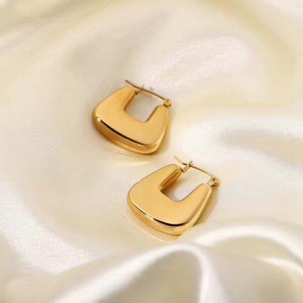 Dera Hoop Earrings CGE01