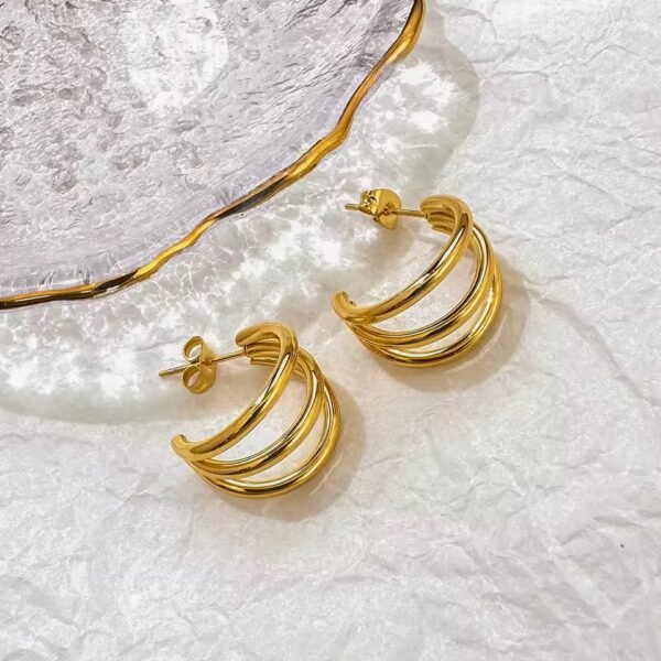 IMG_8882 Tiffany Mini Earrings CGE11