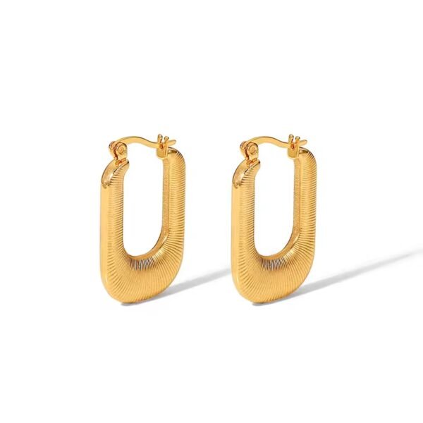 IMG_8890 Lulu Dailywear Hoop Earrings CGE10