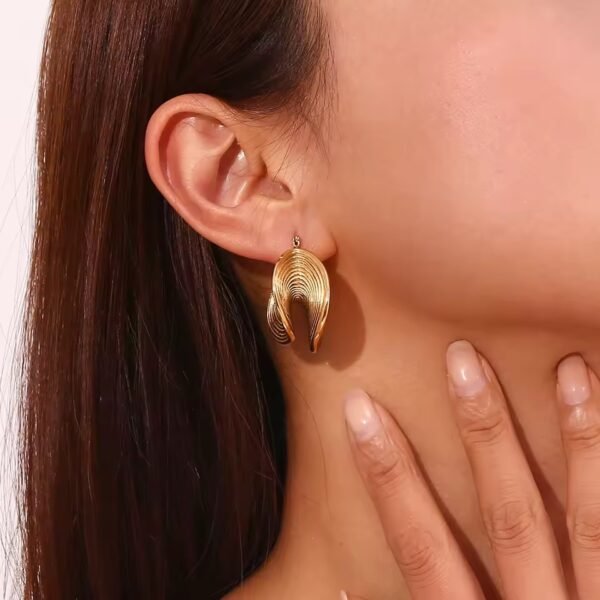 Tarnish Free Earrings
